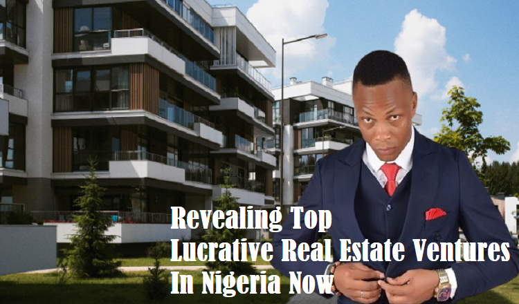 Top Lucrative Real Estate Ventures In Nigeria
